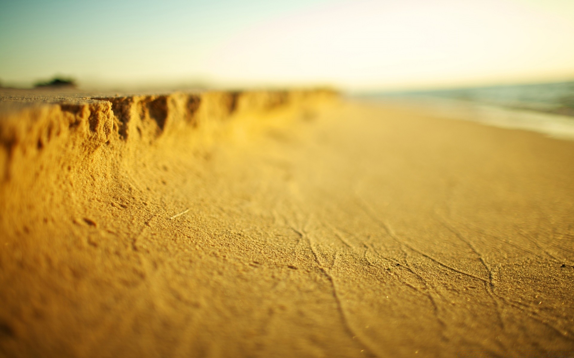 mar y océano playa desierto paisaje puesta de sol abstracto arena desenfoque textura naturaleza mares mar viajes naturaleza muerta oro decaimiento color dof sol