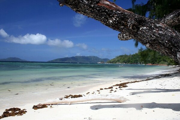 Hermoso fondo de la playa de arena en el océano