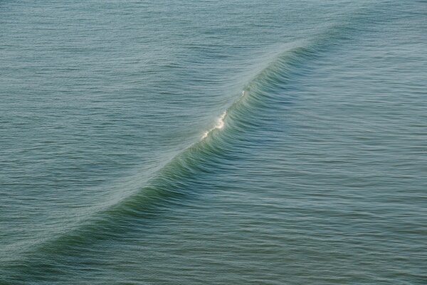 A wave running across the surface of the water