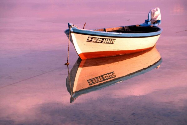 Boat at sunset in pink flowers