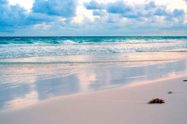 The sea shore covered with clouds