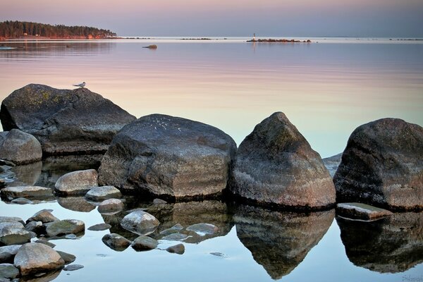 Stones on the beach in the ocean water