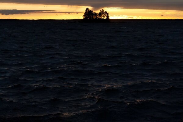 Mare scuro pre-tramonto con alberi