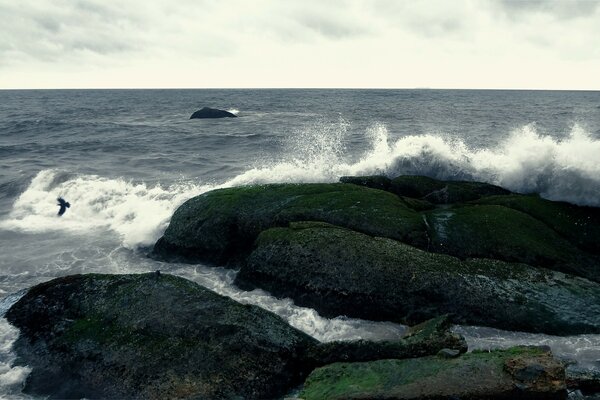 Le onde dell oceano si infrangono sulle rocce