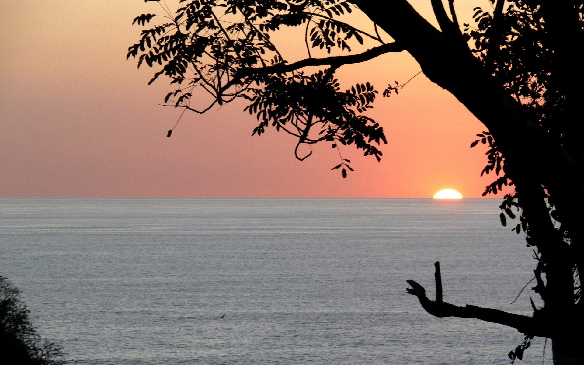 mar y océano puesta de sol agua amanecer sol playa paisaje silueta mar naturaleza árbol noche océano crepúsculo luz de fondo cielo verano lago mar