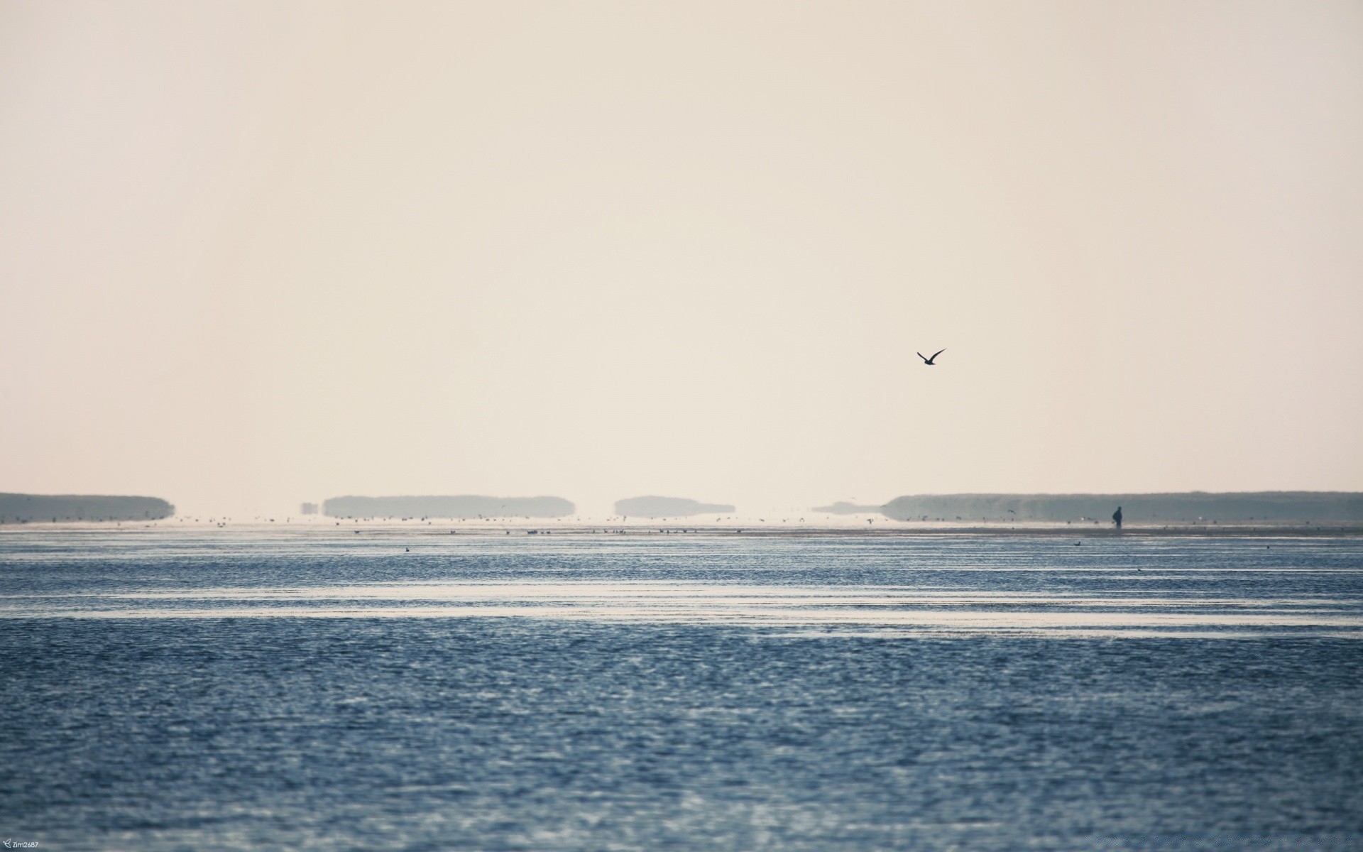 mer et océan eau mer plage océan paysage mer coucher de soleil paysage aube brouillard ciel lumière du jour lumière lac voyage île soir en plein air bateau