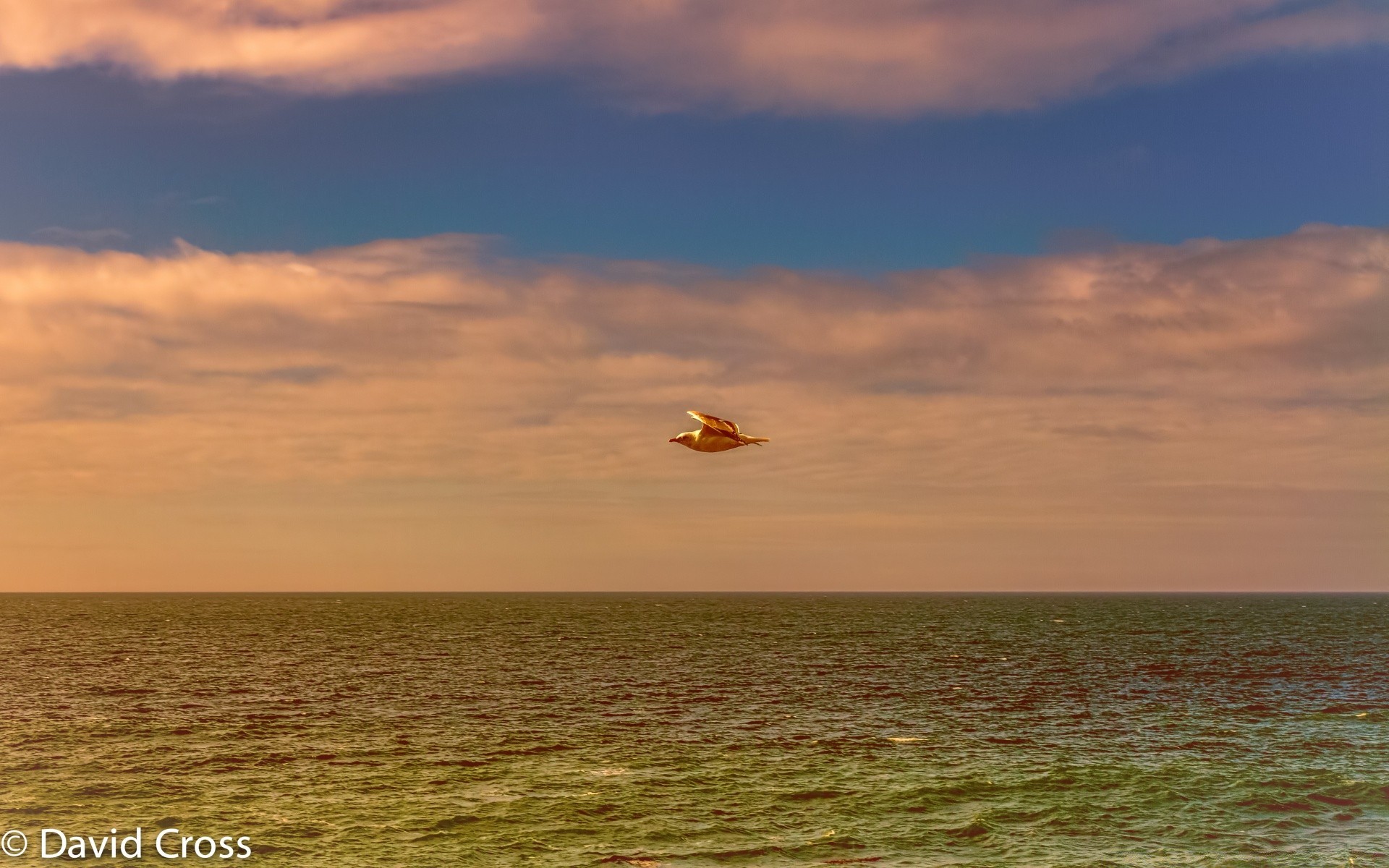 morze i ocean niebo zachód słońca woda na zewnątrz świt natura zmierzch słońce wieczór podróże dobra pogoda lato morze wolność plesid spokój