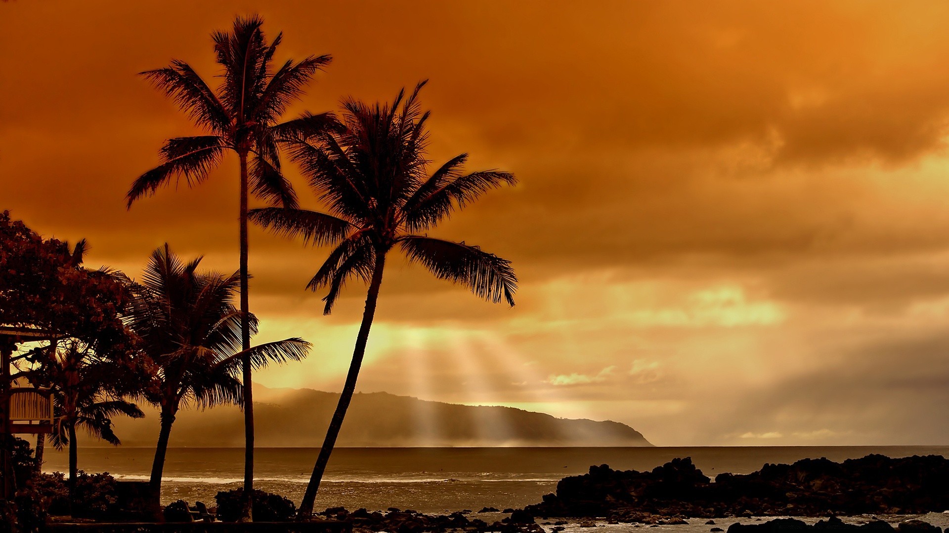 mer et océan plage soleil coucher de soleil tropical océan paysage mer sable eau île aube exotique paume été mer idylle ciel noix de coco beau temps