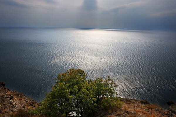 Vue panoramique sur la mer