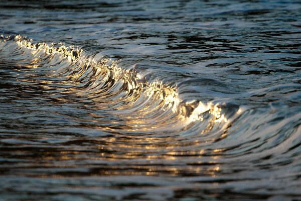 Meer und Ozean spiegeln sich in der Welle wider