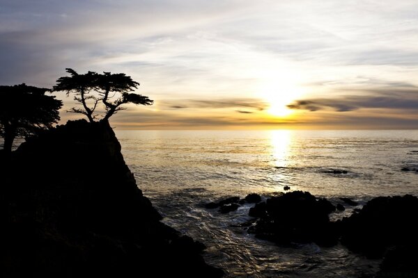 Silhouettes de palmiers au coucher du soleil sur les rochers