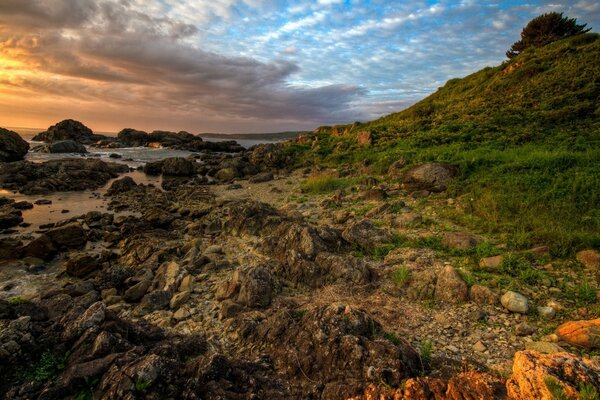 Green hillside on the seashore