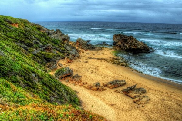 A green beach by the sea and an amazing beach