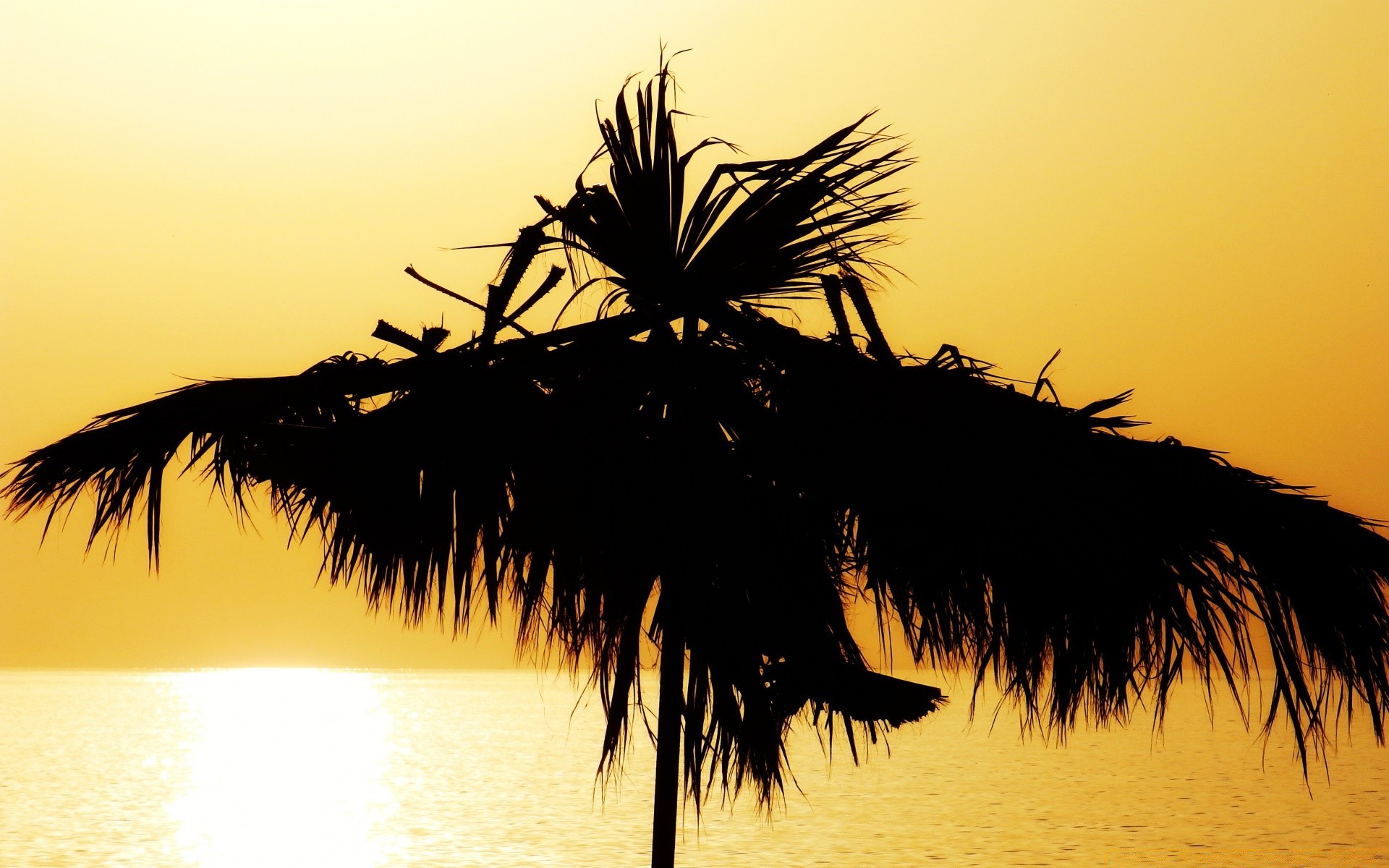 mer et océan plage tropical soleil coucher de soleil eau aube sable silhouette nature mer océan palm été arbre voyage île rétro-éclairé exotique ciel