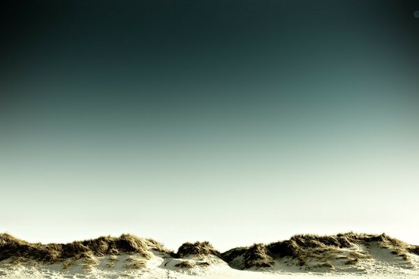 Desert landscape of the sea coast