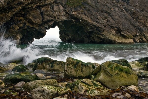 Surf Marino . Alghe sulle rocce