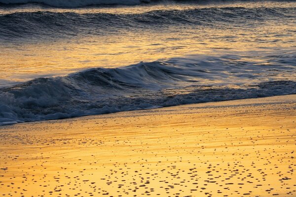 Yellowish sea wave with foam