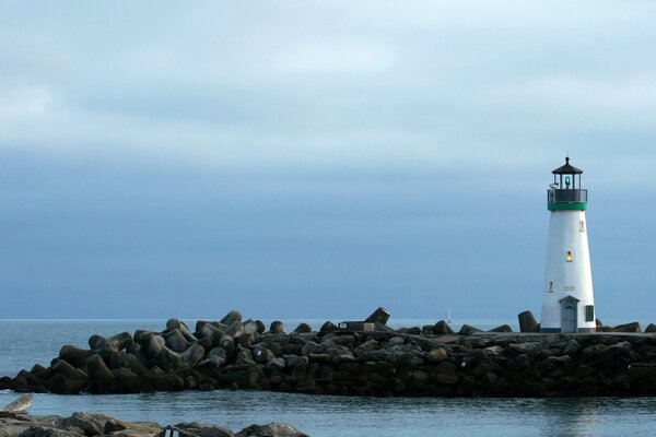 Gardien solitaire sur le rivage