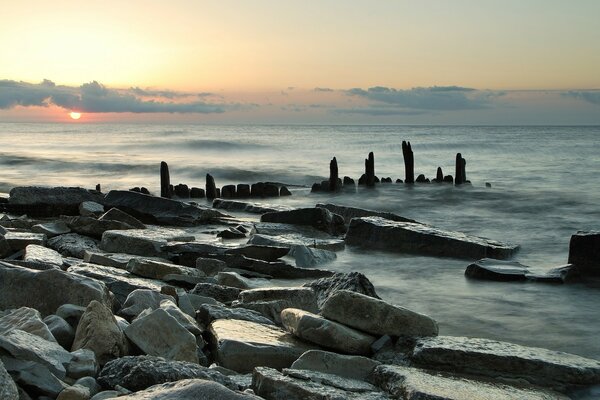 White mlre, stone silent shores