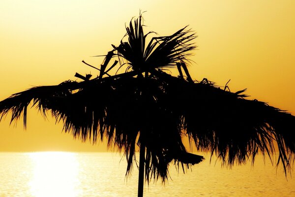 Tropischer Strand und Sonne auf dem Wasser