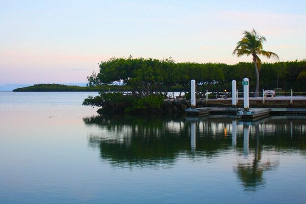 A serene morning in the distant tropics