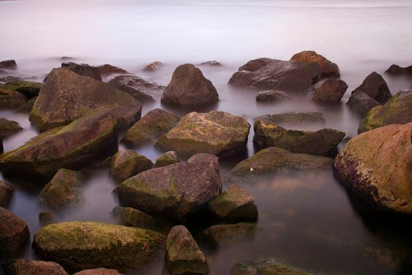 Rocks on the shore, overgrown with moss