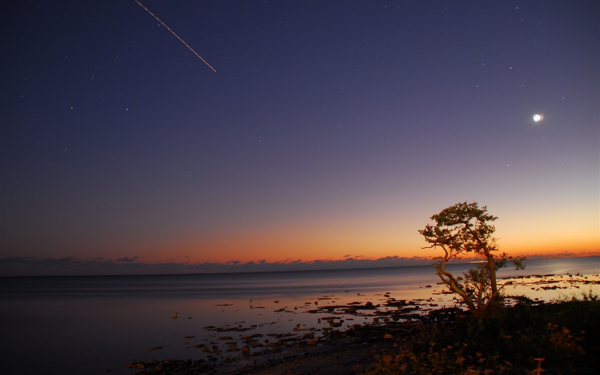 sea and ocean sunset moon evening water beach sky dusk sun sea landscape dawn seashore silhouette light tree ocean travel lake outdoors