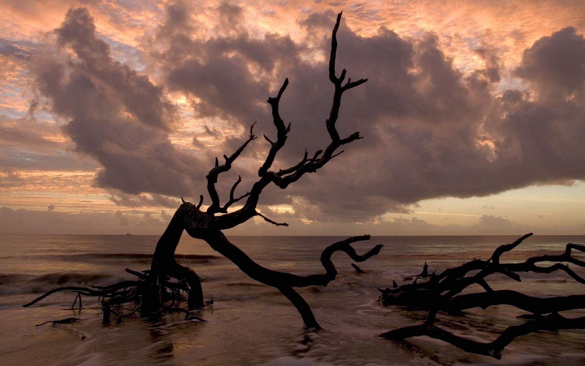 sea and ocean sunset silhouette dawn landscape evening dusk backlit sky water storm ocean sun beach sea surreal nature desert