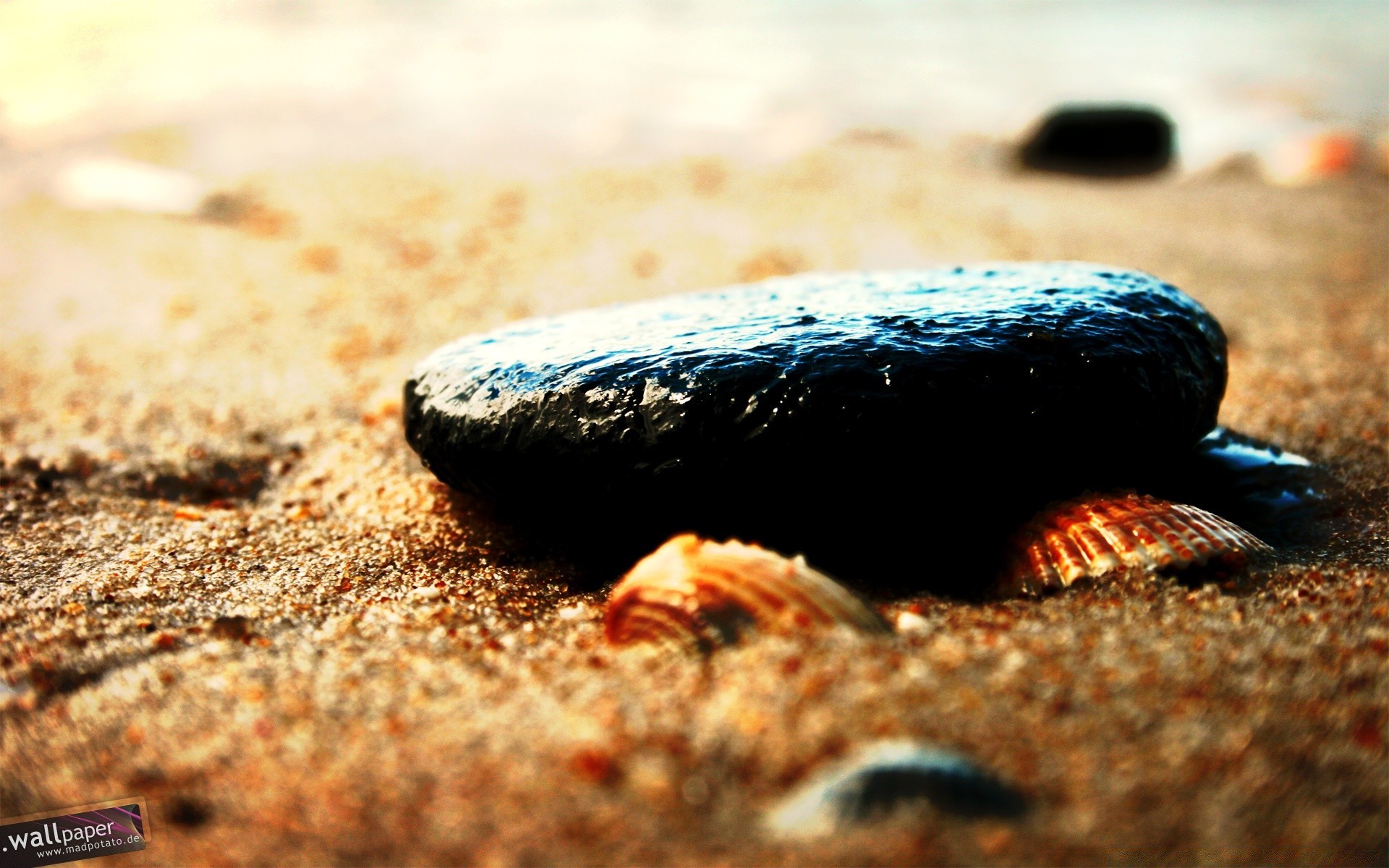 mar y océano naturaleza vida silvestre arena al aire libre mar gazoo roca luz del día agua playa solo mar