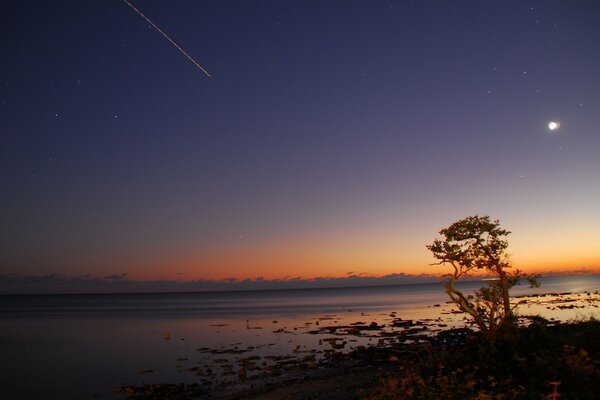 Sea and ocean. Stars and moon