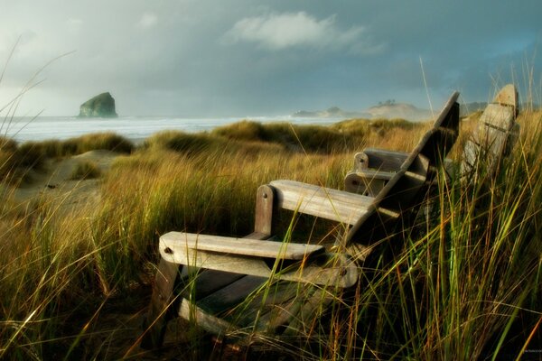 An abandoned beach. On the field next to the ocean