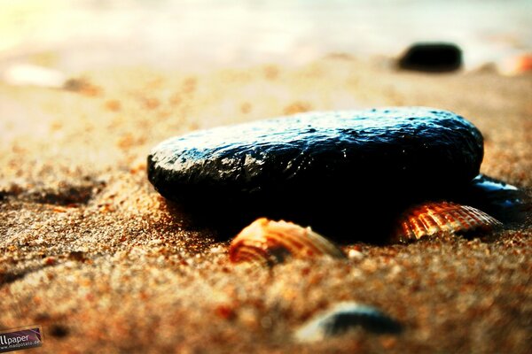 Stone on river sand nature macro-shooting