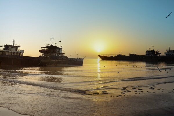 Marina of ships on the seashore