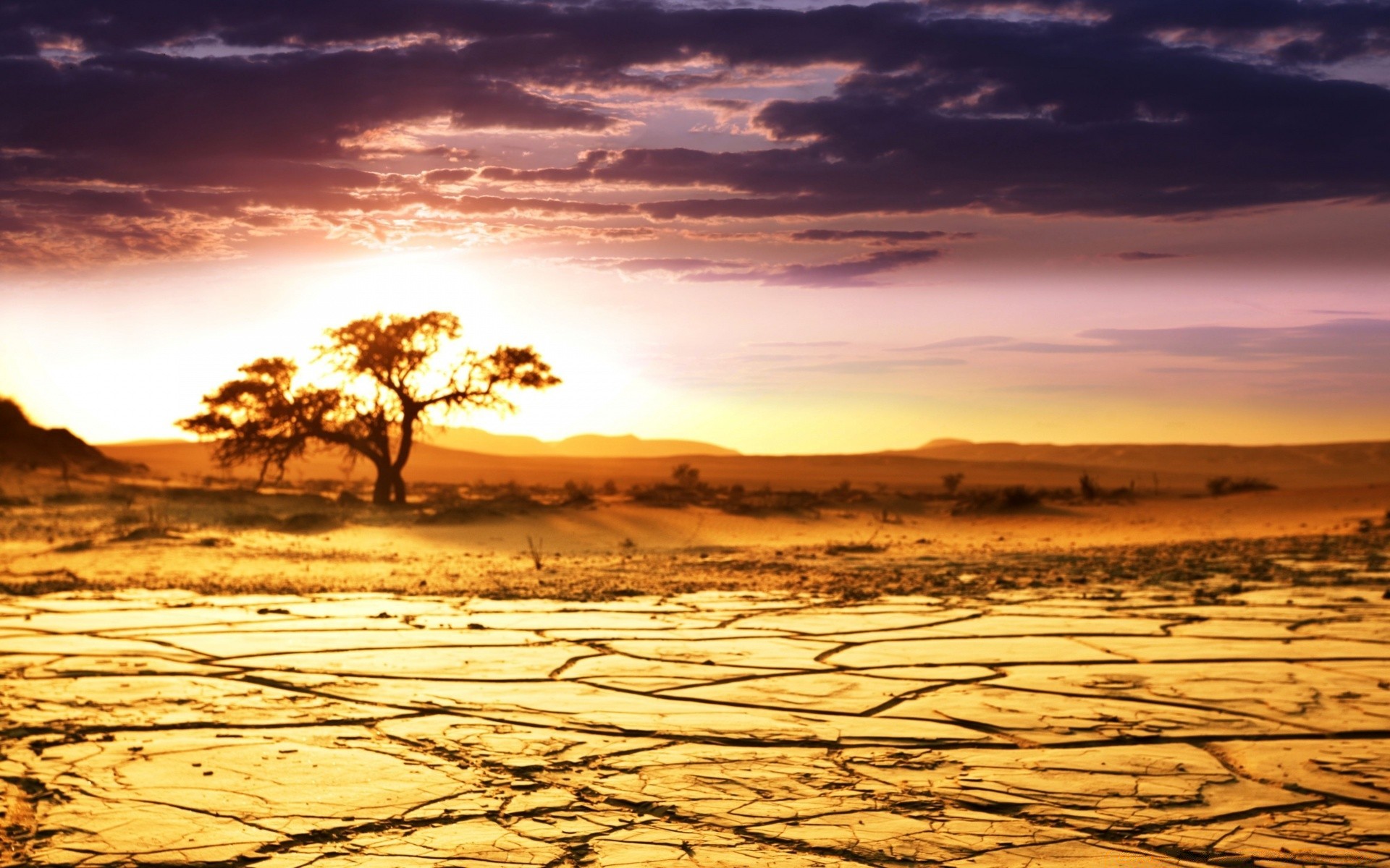 desert sunset nature sun dawn sky water sand dusk landscape evening fair weather summer