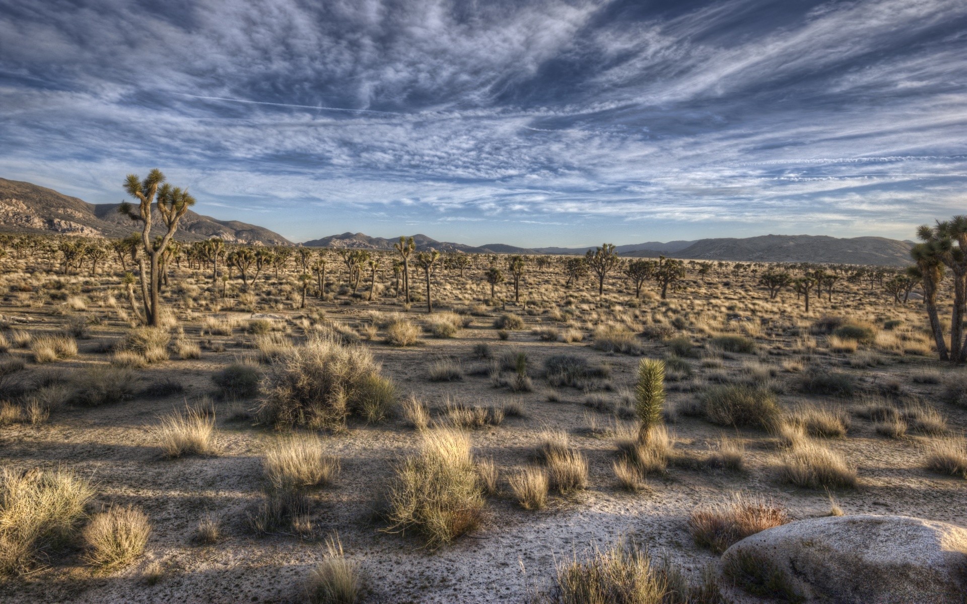 desert landscape travel dry outdoors sky nature scenic arid mountain rock barren hill