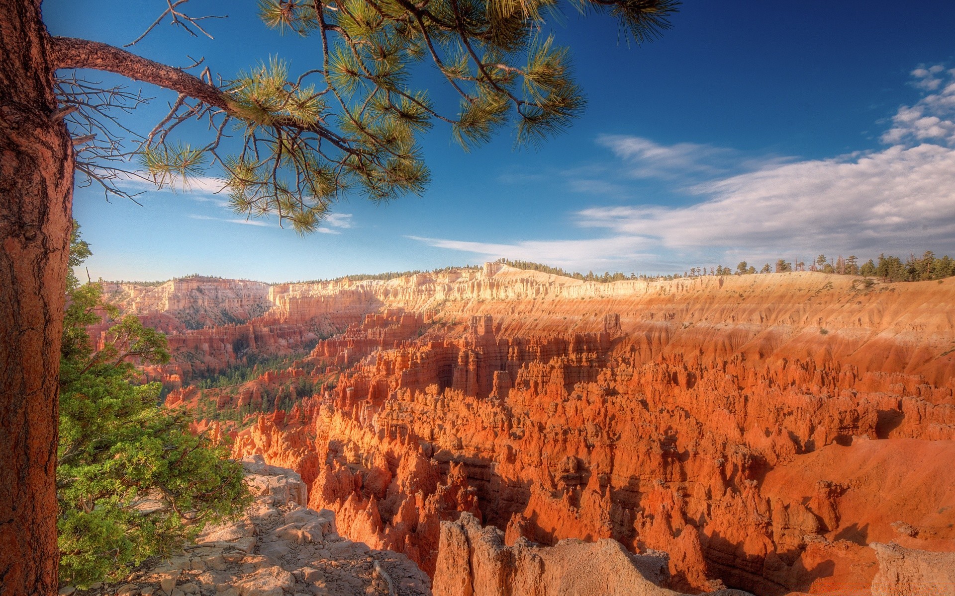 desert landscape outdoors tree nature travel scenic park sky rock mountain geology dawn daylight canyon sandstone valley