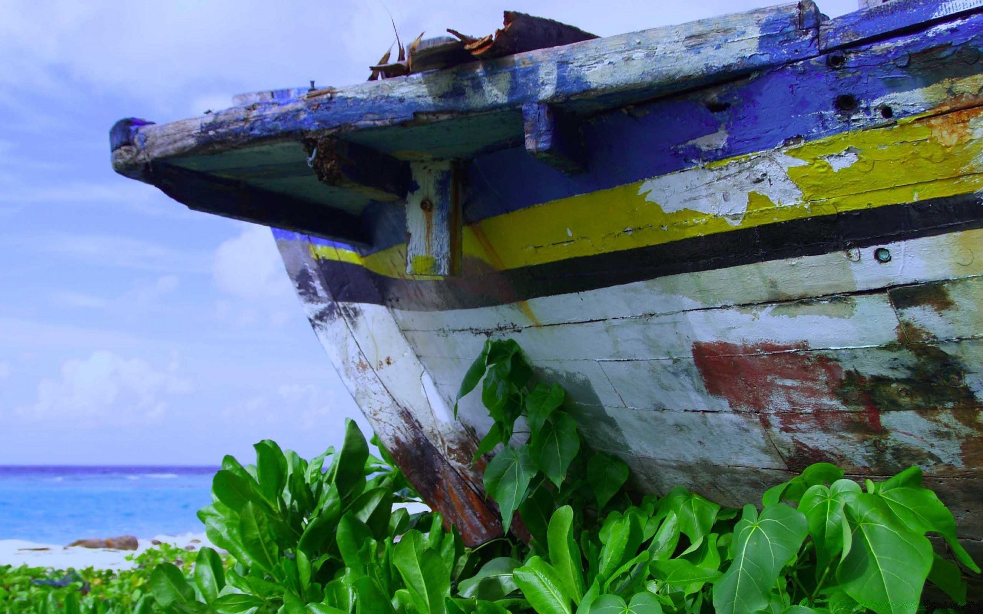 mer et océan nature eau été couleur voyage bateau nourriture à l extérieur bois bureau