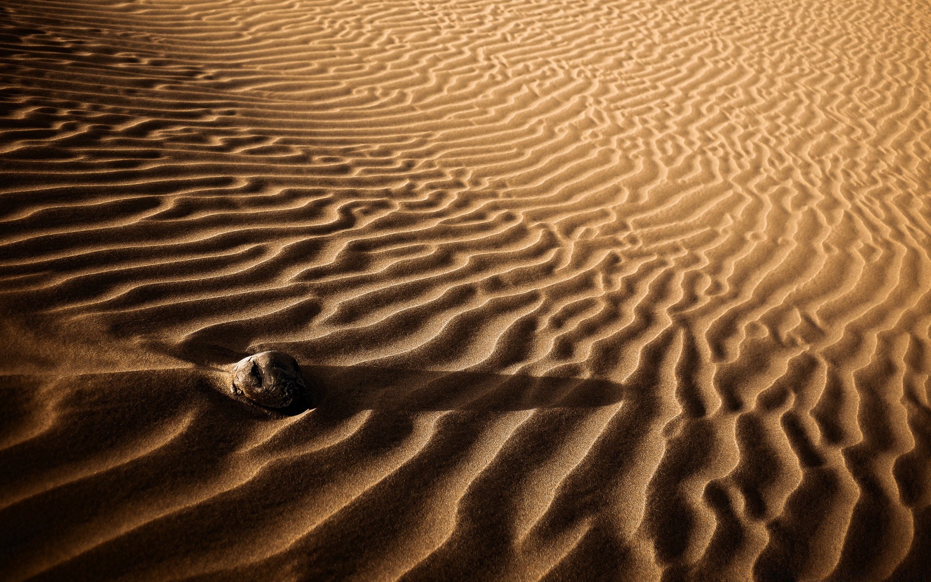 çöl kum plaj çorak ayak izi bir kumul doku deniz dalga arid dalgalanma desen kuru masaüstü gölge