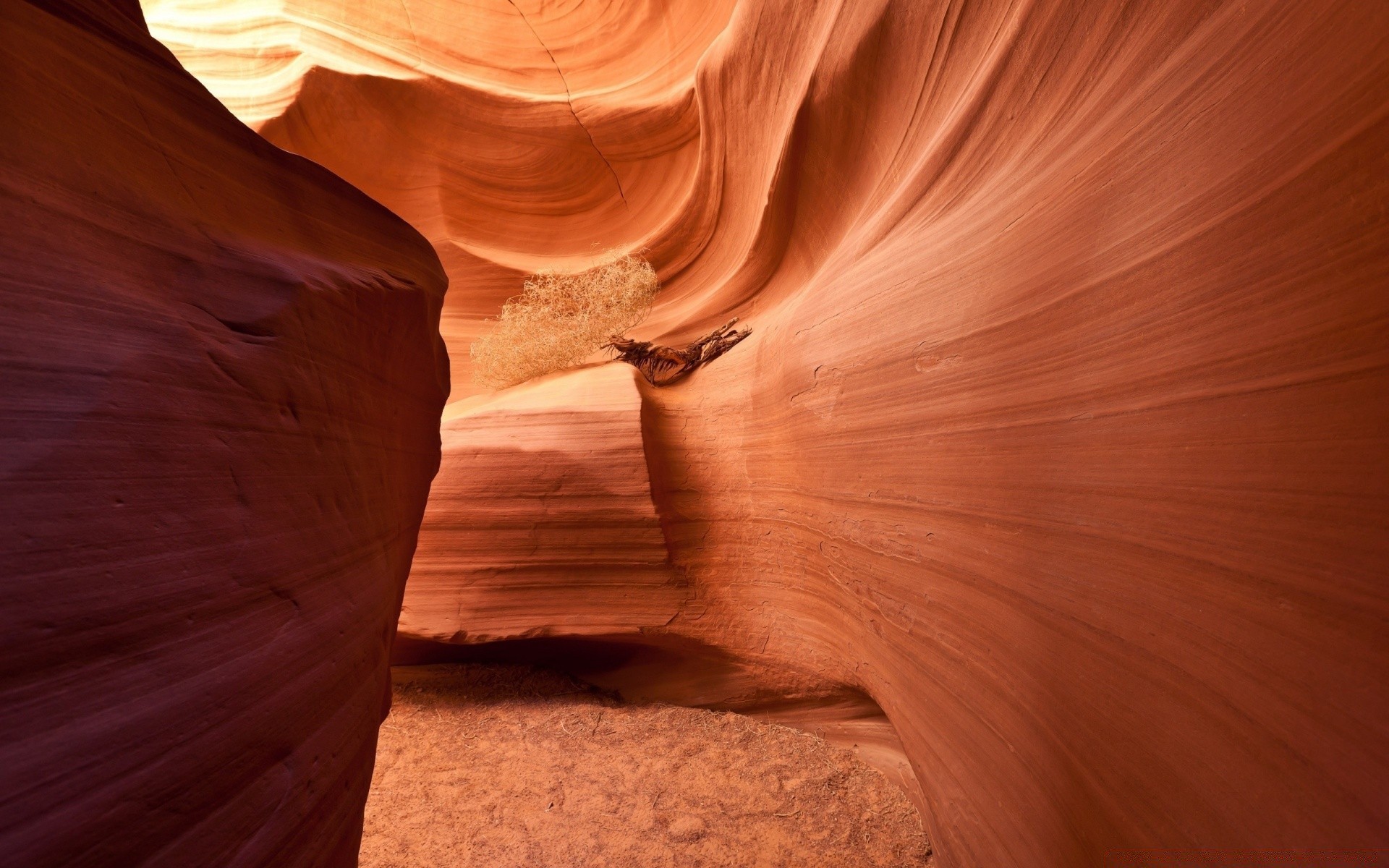 desert canyon sandstone antelope erosion slot rock sand narrow landscape arid geology travel ravine dawn sunset nature dry valley