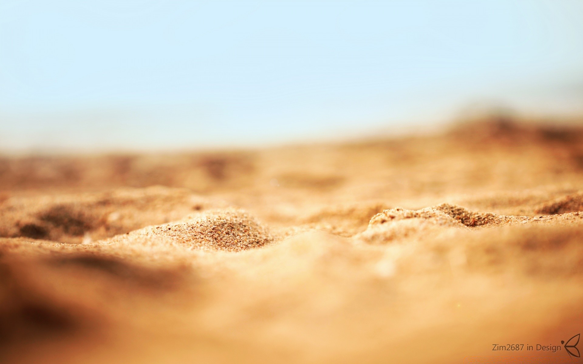 deserto alba colazione caldo sabbia natura scuro