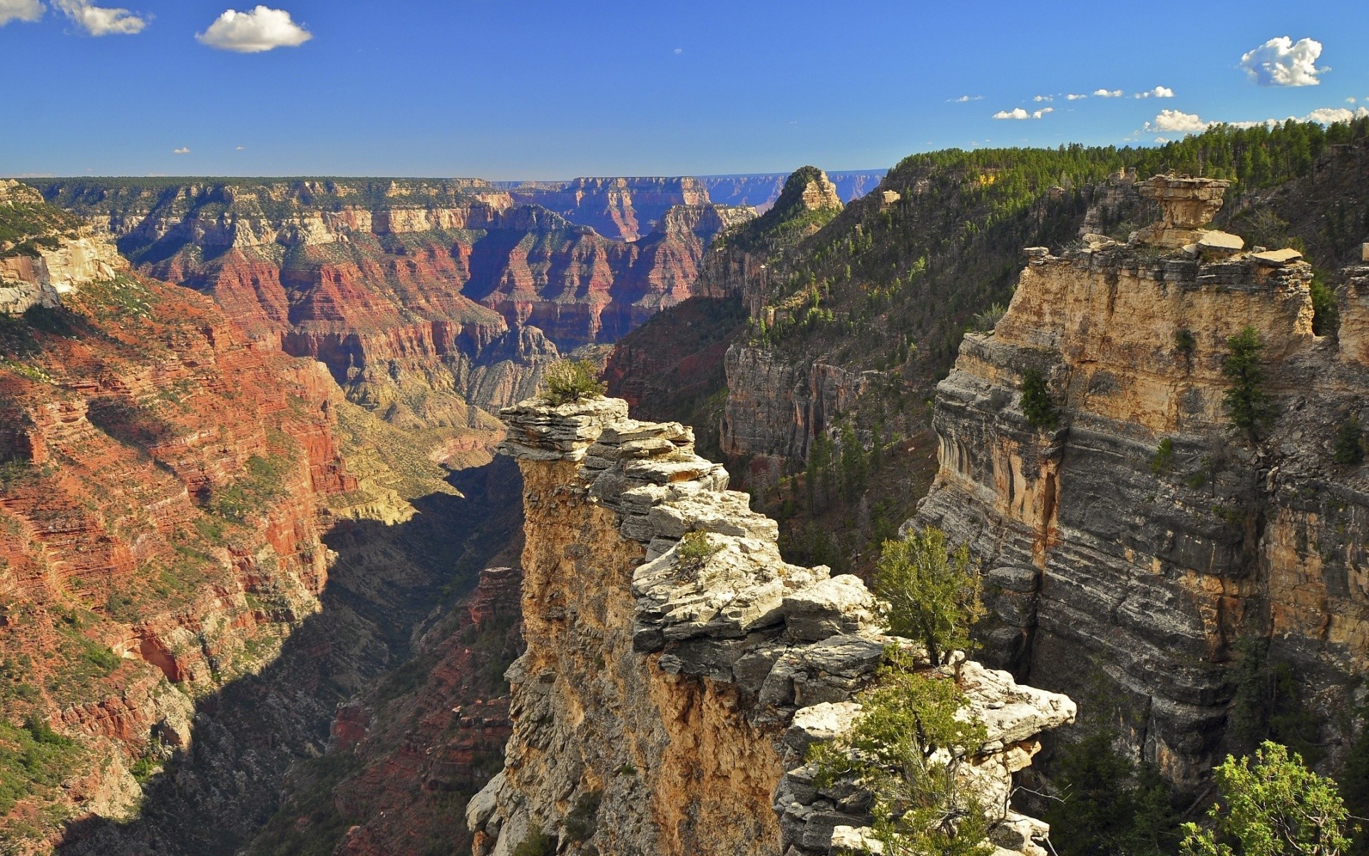 wüste schlucht landschaft natur reisen rock landschaftlich im freien geologie sandstein himmel erosion spektakel berge tal sehenswürdigkeit tourismus grand