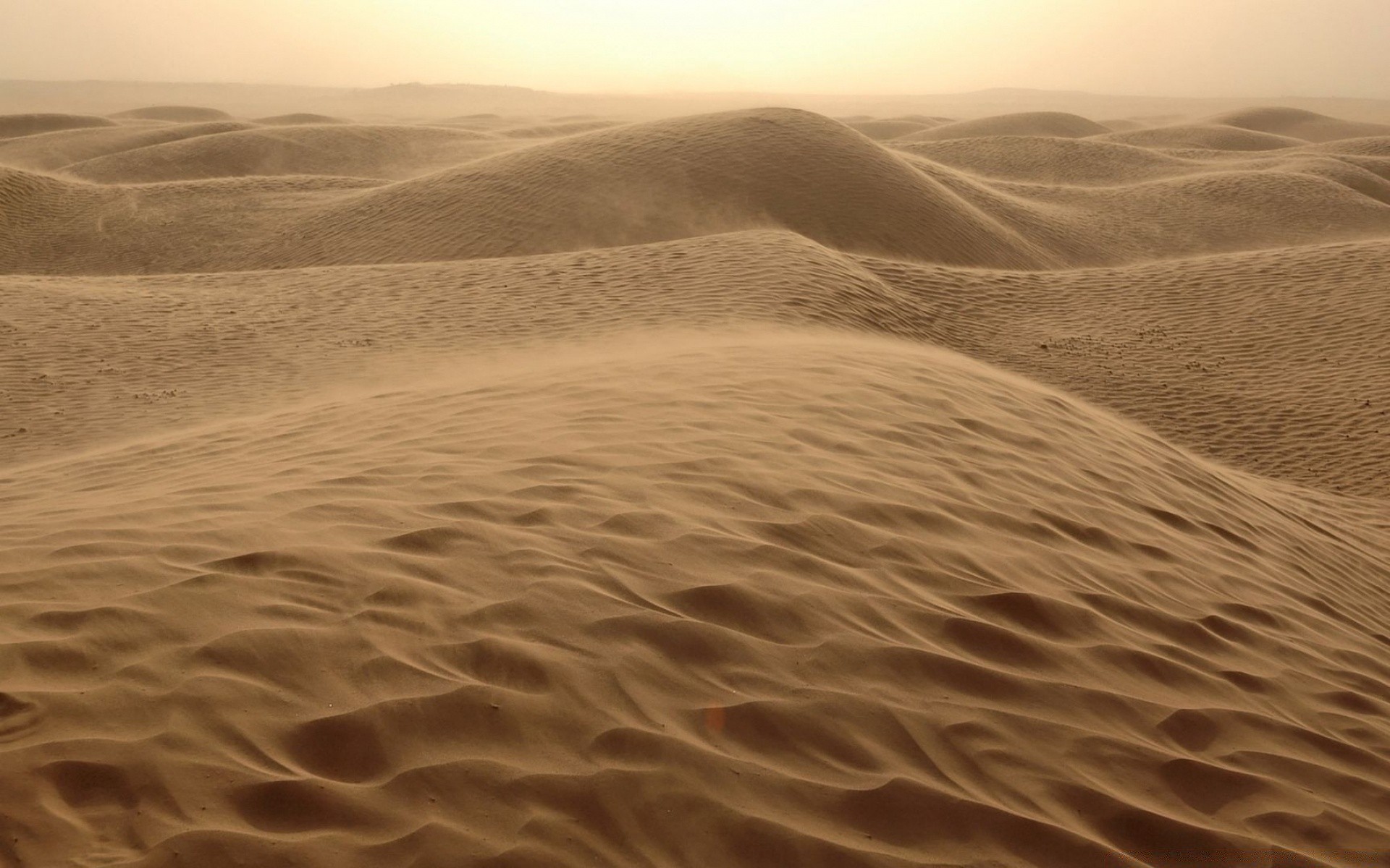 wüste sand düne strand unfruchtbar wasser reisen meer landschaft aride natur trocken meer ozean fußabdruck heiß brandung