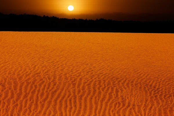 Sunset view over desert sands