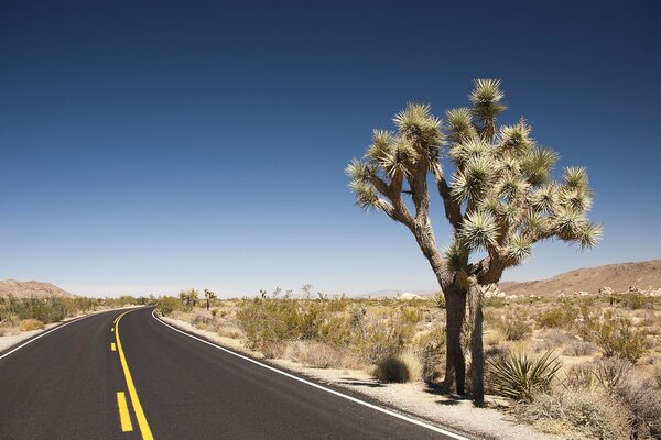 The journey along the road in the desert is unforgettable