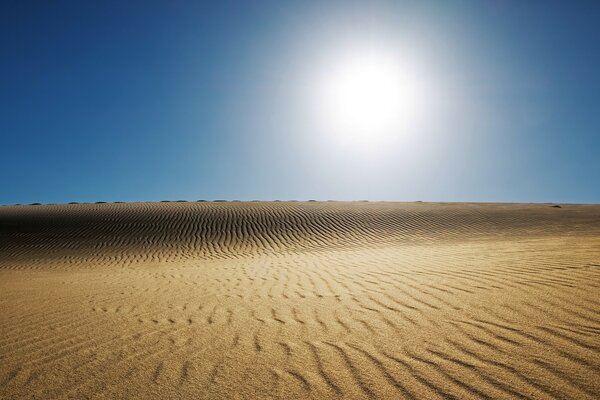 El sol blanco del desierto en el cielo azul