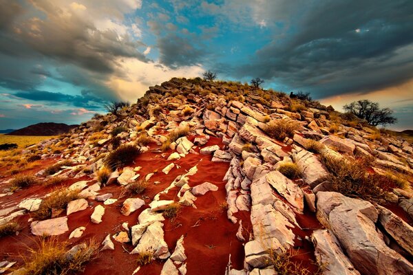 A beautiful place in the desert of stones