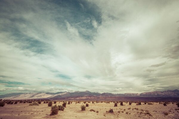 Deserto cielo un po di verde di montagna