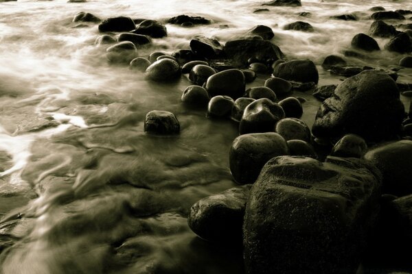 Mare oceano rocce limo spiaggia