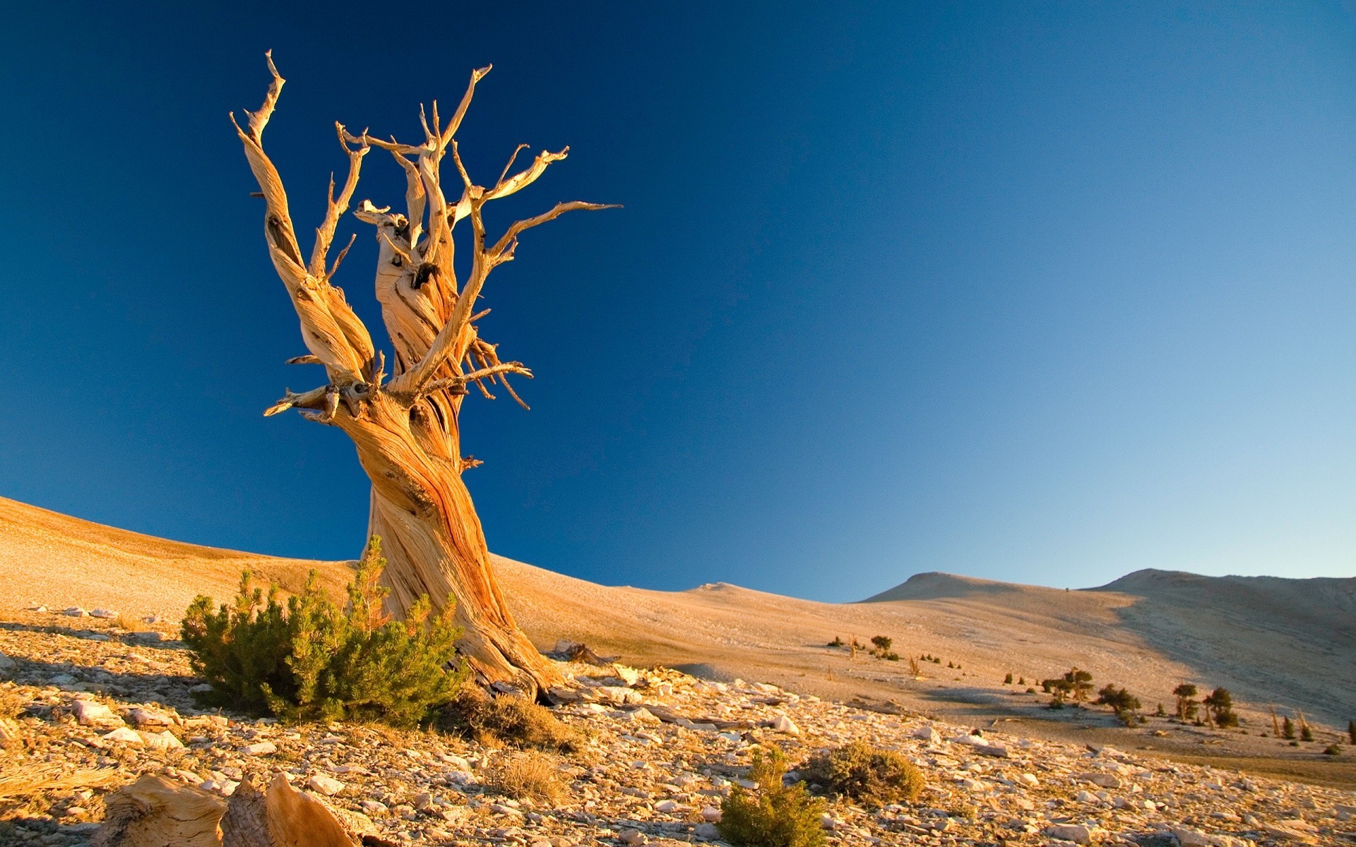 deserto paesaggio cielo viaggi all aperto natura montagna albero luce del giorno scenico secco roccia