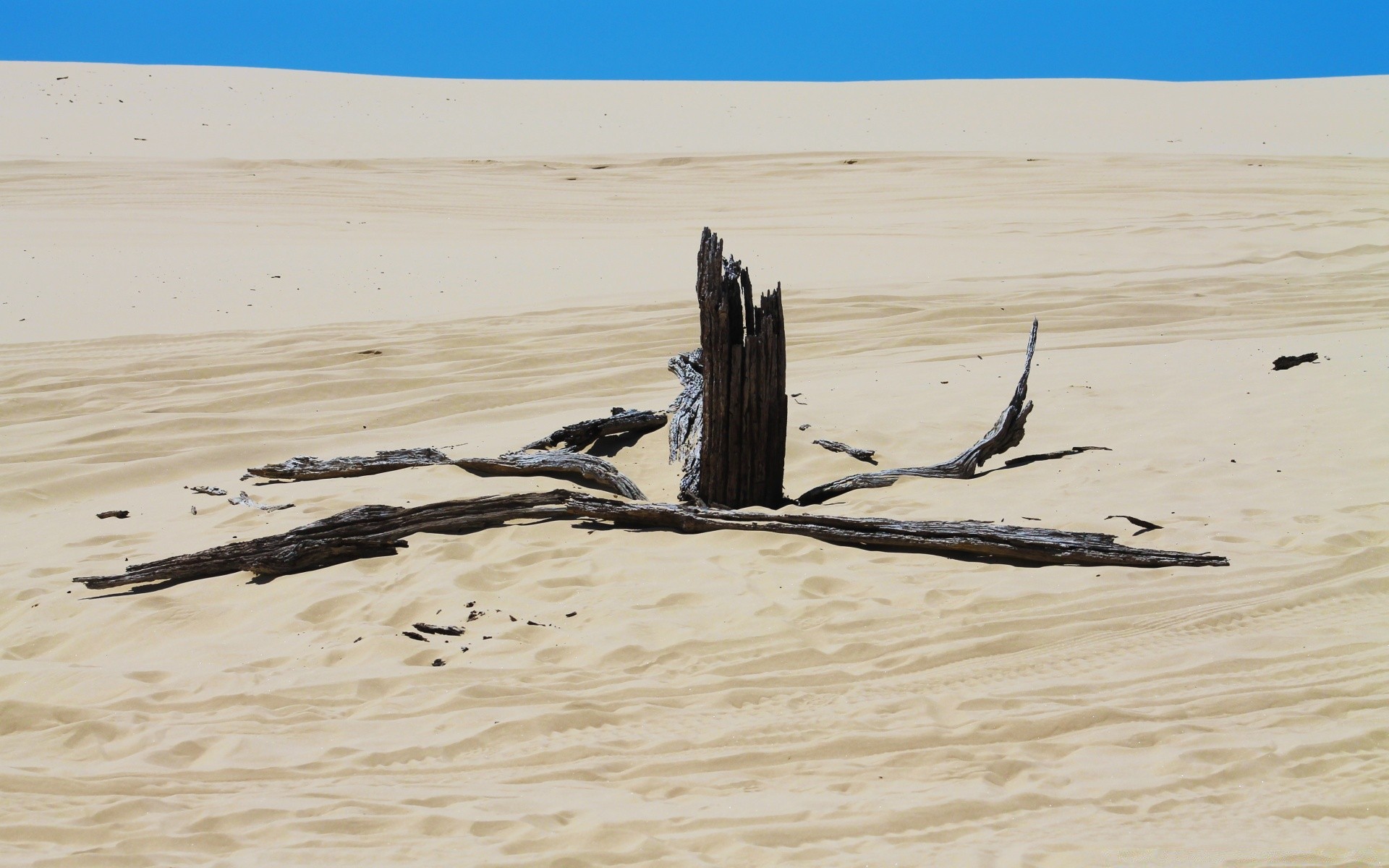 desert sand beach water landscape ocean seashore sea travel dry wave barren nature hot scenic dune sky horizon alone